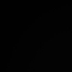 Meet your Posher, Paulina